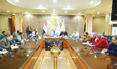 كفر الشيخ: زراعة 217 ألف شجرة بقرى ومدن المحافظة ضمن المبادرة الرئاسة