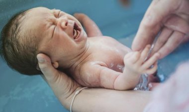 «نزيف وكسور متفرقة».. سيدة تلقي رضيع سلفتها من الطابق الثاني بالمنوفية