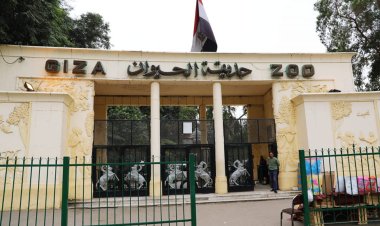 «الزراعة» تؤكد استمرار حديقتي الحيوان والأورمان تحت ولايتها