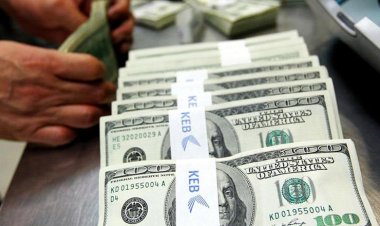 انهيار سعر الدولار في السوق السوداء.. هل تكتب شهادة 25% نهايته؟