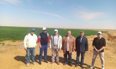 وزير قطاع الأعمال من توشكى: التوسع في زراعة القمح وزيادة مساحته إلى 50%