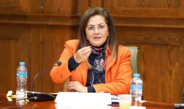 "السعيد" تشارك في اجتماع اللجنة المشتركة بمجلس الشيوخ حول جهود تحفيز الاستثمار في مصر