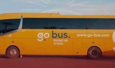 قبل مواجهة المصري.. الأهلي يوفر أتوبيسات مجانية لنقل الجماهير للإسكندرية