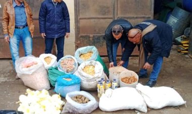 ضبط أغذية مجهولة المصدر وإعدام سلع منتهية الصلاحية في بني سويف