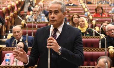 وزير القوى العاملة يستعرض أمام البرلمان خطة دمج الاقتصاد غير الرسمي