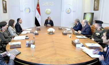 الرئيس السيسي يوجه الحكومة بأن يكون سعر توريد محصول القمح مجزياً للمزارعين