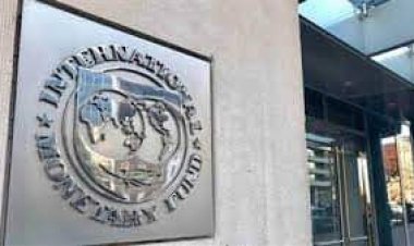 صندوق النقد: المركزي المصري سيلتزم بتعويم العملة.. والجنيه ينخفض من جديد