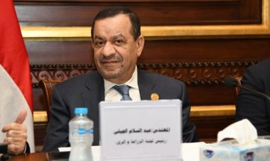 «الجبلي» يكشف العوائد الاقتصادية من إنشاء مصنع للفوسفات بـ«الوادي الجديد»