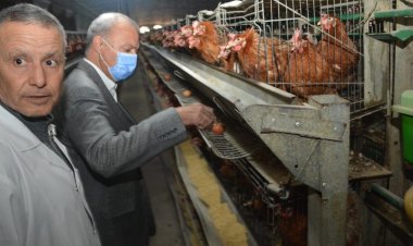 محافظ القليوبية يتفقد مشروع الـ «30 مليون بيضة» للإطمئنان على سير العمل