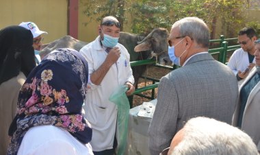محافظ القليوبية يتفقد قافلة بيطرية لفحص الثروة الحيوانية بالمجان
