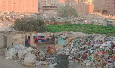 أهالي بنها يناشدون محافظ القليوبية بإزالة أكبر «مقلب قمامة»