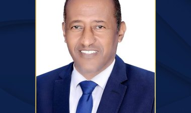 النائب ياسين عبد الصبور يزور مصنع «كيما»  في أسوان