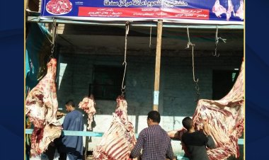 حزب حماة الوطن بأسيوط يطلق مبادرة «معاً ضد الغلاء»