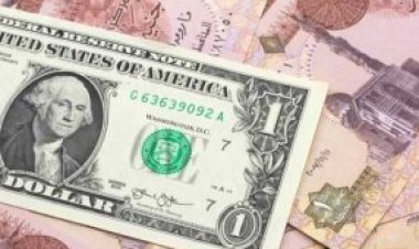 خبير اقتصادي: الدولار سيشهد ارتفاعًا مُستمرًا والحل في مشروعات ذات العائد السريع (خاص)