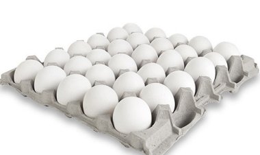 ننشر أسعار البيض اليوم الخميس 12 يناير 2023