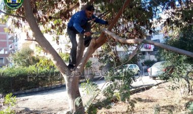 حي ثالث الإسماعيلية يواصل أعمال النظافة العامة والتجميل