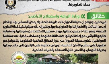الحكومة تحارب الشائعات.. وتؤكد:  لا صحة لتجريف أشجار حديقة الحيوان