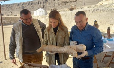 مدير المكتب الإقليمي لليونسكو يزور منطقة آثار سقارة