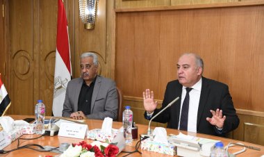 محافظ قنا : الانتهاء من تنفيذ 88% بمشروع ترفيق المنطقتين الصناعيتين