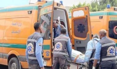 إصابة 14 في انقلاب ميكروباص على صحراوي المنيا