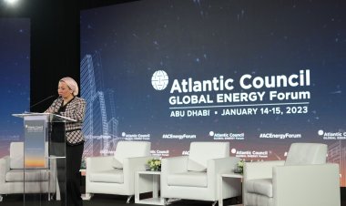 البيئة: تعاون بين مصر والإمارات للانتقال من COP27 إلى COP28 لتسريع وتيرة العمل المناخي