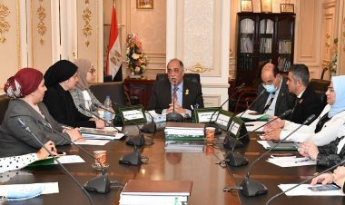 تضامن النواب تستعرض قانون بشأن تنظيم المجلس القومي للطفولة والأمومة