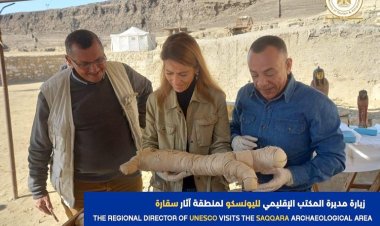 مدير المكتب الإقليمى لليونسكو تزور منطقة آثار سقارة