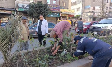 حملات لزراعة الأشجار ضمن مبادرة 100 مليون شجرة ورفع كفاءة الطرق بدسوق