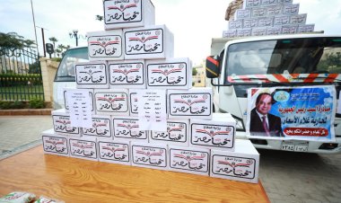 محافظ كفر الشيخ يشهد وصول 6 آلاف كرتونة «تحيا مصر»  للسلع الغذائية