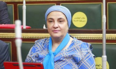برلمانية: مبادرة «حياة كريمة» لا يمكن أن تتحقق دون النظر إلى حياة «المشردين»