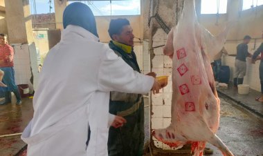 استمرار الحملات الرقابية على الأسواق بالمدن والقرى في كفر الشيخ