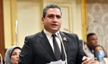 برلماني عن التنسيقية يطالب وزارة الري بحماية نهر النيل من التلوث