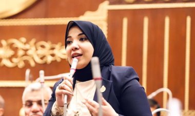 برلمانية بالشيوخ: الحوار الوطني يؤسس لشراكة مجتمعية واسعة