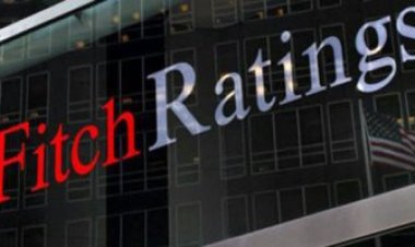 وكالة فيتش للتصنيف الائتماني ... البنوك المصرية يمكن أن تصمد أمام انخفاض قيمة الجنيه