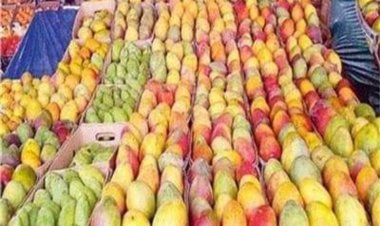 «البرتقال بـ 4.50».. أسعار الفاكهة اليوم السبت