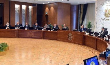 الوزراء يوافق على حافز إضافي لتوريد أردب القمح المحلي لموسم 2023 ليصبح 1250 جنيها