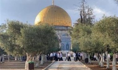 مستوطنون يقتحمون ساحات المسجد الأقصى صباح اليوم