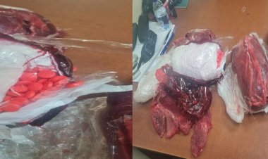 إحباط محاولة تهريب ترامادول وزاناكس داخل لحوم مجمدة بمطار القاهرة 