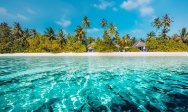 تعرف على حكاية رجل تاه في البحر 45 يومًا.. والكاتشب أنقذ حياته