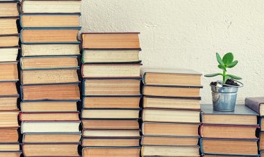 ضبط 23 ألف كتاب مطبوع بدون تفويض داخل مكتبة بالأزبكية