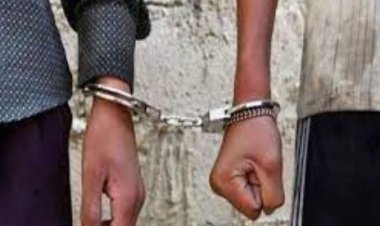 القبض على شخصان لقيامهما بالحفر والتنقيب عن الآثار داخل عقار بالبساتين