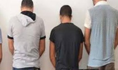 ضبط لصين سرقا حقيبة سيدة أجنبية أثناء سيرها مع زوجها بالنزهة