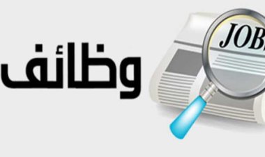 3149 وظيفة جديدة في 15 محافظة برواتب تصل إلى 7500 جنيه