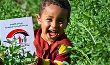 ننشر شروط الحصول على معاش الطفل وأوراق التقديم