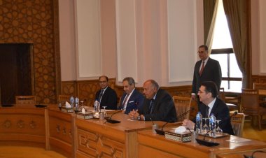 وزير الخارجية يستقبل مجلس إدارة المجلس المصري للشئون الخارجية