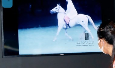 «الأرشيف والمكتبة الوطنية» يبدي اهتماماً كبيراً بالخيول في «ذاكرة الوطن» بمهرجان الشيخ زايد 2023