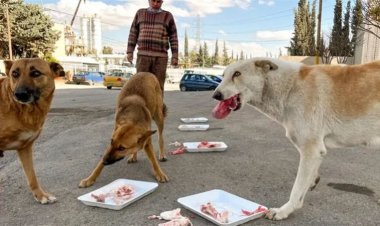 أطفال العراق بين أنياب الكلاب الضالة