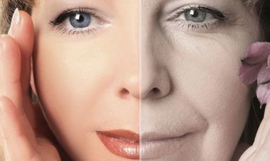 بعد إعادتهم البصر والشباب لفئران مسنة عمياء.. هل توصل العلماء لعلاج الشيخوخة؟