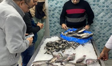 لرفع المعاناة عن المواطنين..استمرار تنفيذ الحملات التموينية بمحافظة الدقهلية