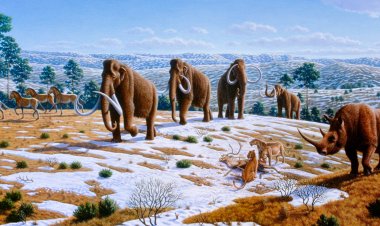 تفاصيل طقس الأرض منذ العصر الهولوسيني.. «آخر 11 ألف صيف وشتاء»